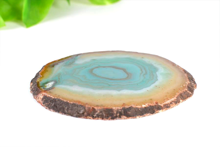アゲートスライス 瑪瑙プレート｜コースターや席札に｜めのう
