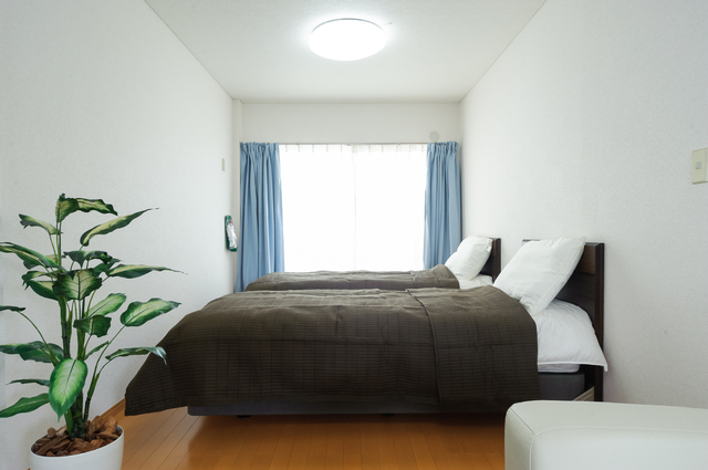 エンジェルラダー レムリアンシード｜レムリアン水晶｜ブラジル