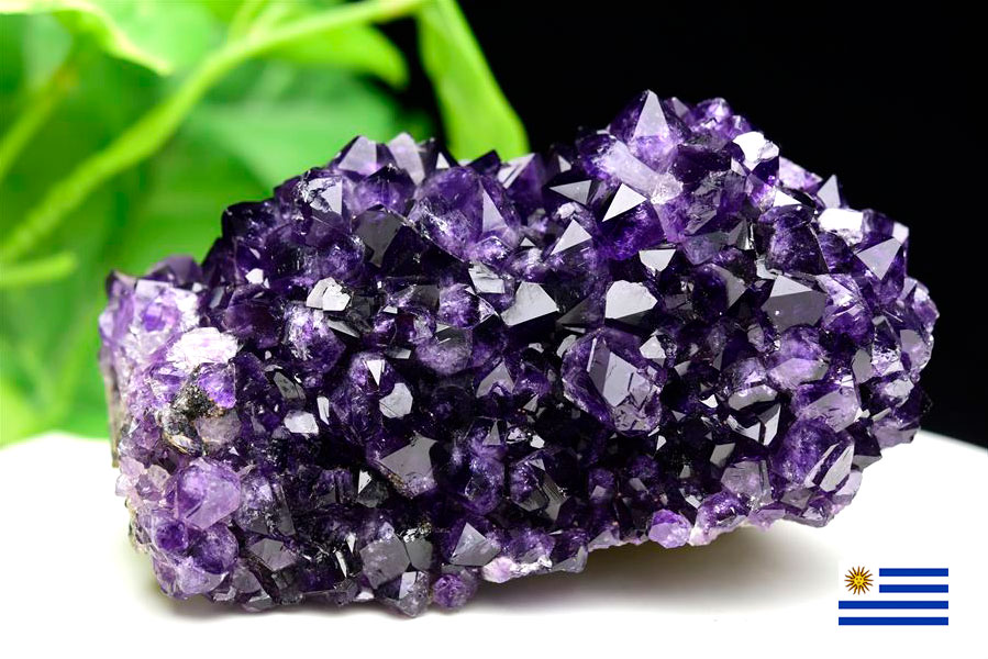 フラワーアメジスト クラスター 原石 ウルグアイ産 紫水晶 スタラクタイト