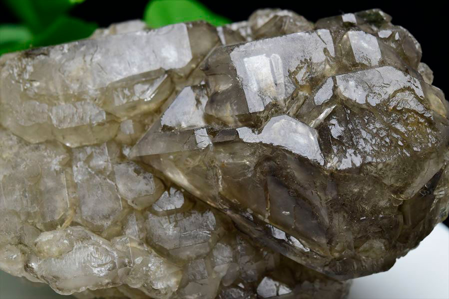 アリゲータークォーツ（ジャカレー水晶）エレスチャル 原石｜アップ