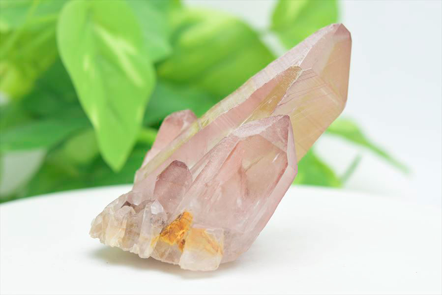 ピンクレムリアン クラスター 原石｜レムリアンシードクリスタル