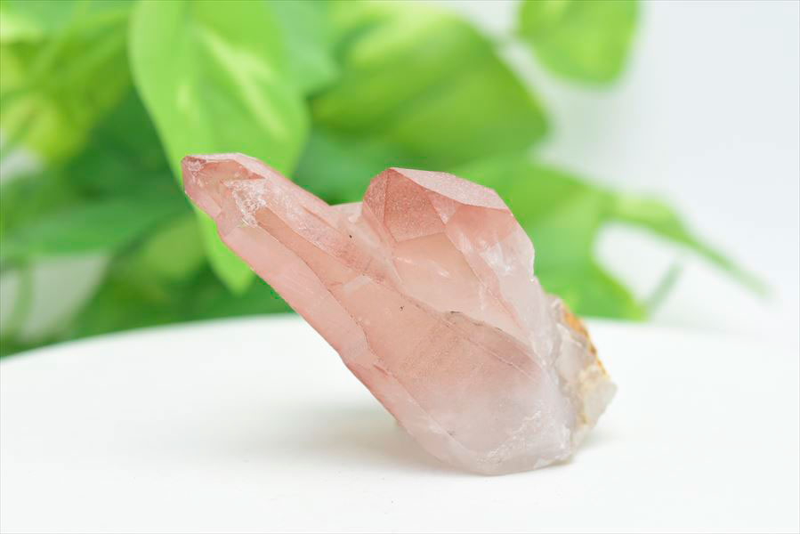 ピンクレムリアン クラスター 原石｜レムリアンシードクリスタル
