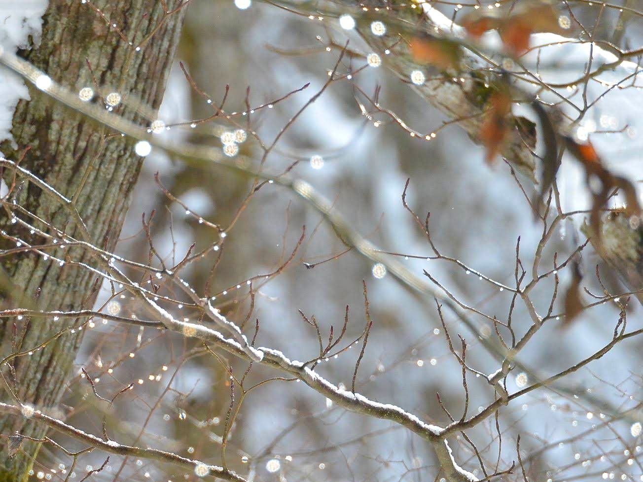 小林 舞香 新作個展 「予感」 | 山形 まるごと観光情報サイト「VISIT