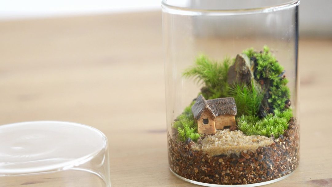 苔テラリウムにフィギュアを固定する方法【おすすめフィギュア紹介あり