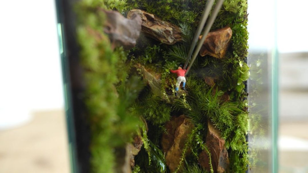 苔テラリウムにフィギュアを固定する方法【おすすめフィギュア紹介あり