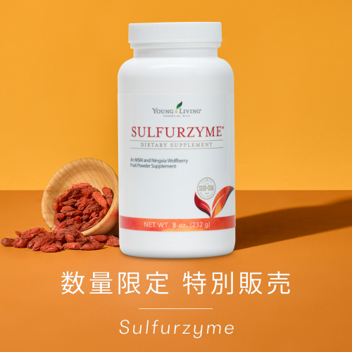 限定販売 Archives - ヤング・リビング 公式ブログ