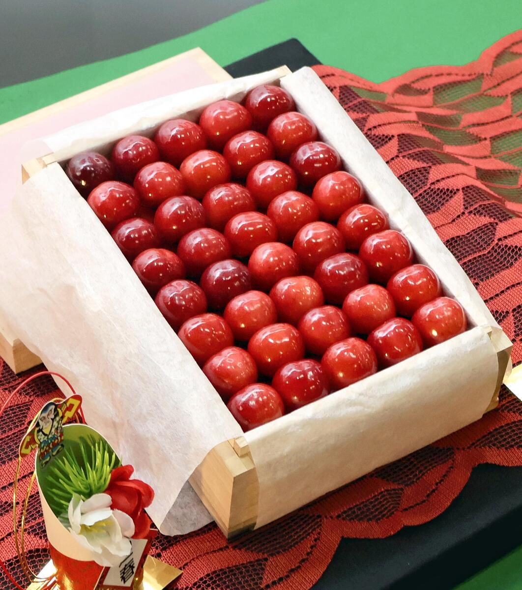 山形県産サクランボ「佐藤錦」、過去最高180万円で落札…東京・大田