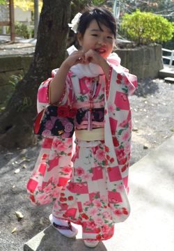 七五三 女の子 被布 着物 飾り帯 巾着 草履 セット カテゴリ商品一覧