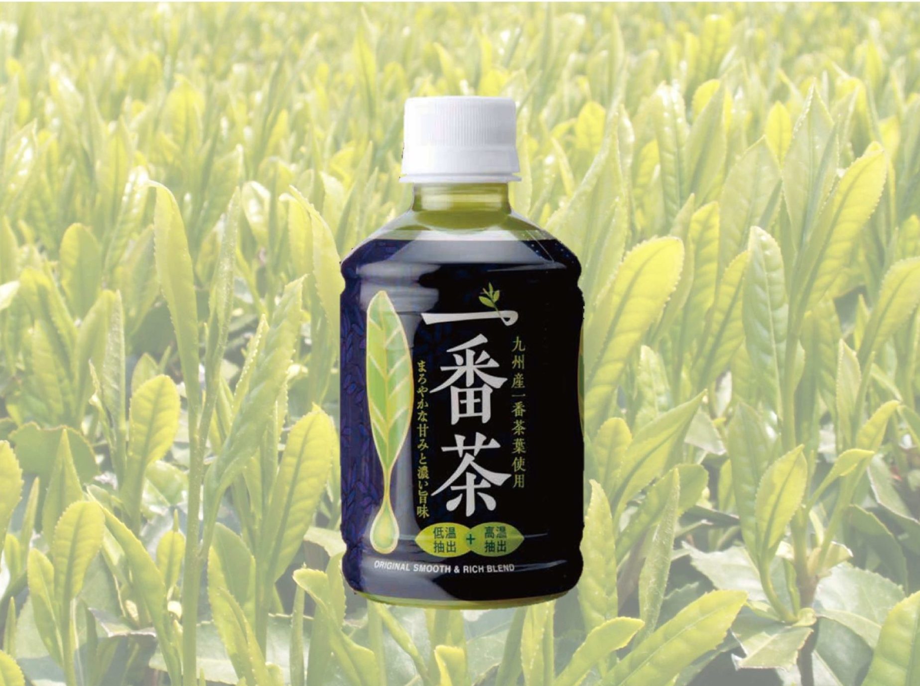 ヤマエ久野PB商品 「一番茶」 | トピックス | ヤマエグループ