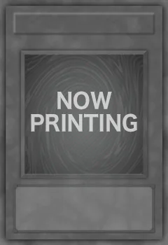 ウィナーズパック | イベント・大会 | 遊戯王OCGデュエルモンスターズ