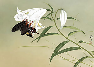 有名作家の掛け軸 川端龍子作 百合【和風モダン掛】ミニサイズ ミニ掛軸