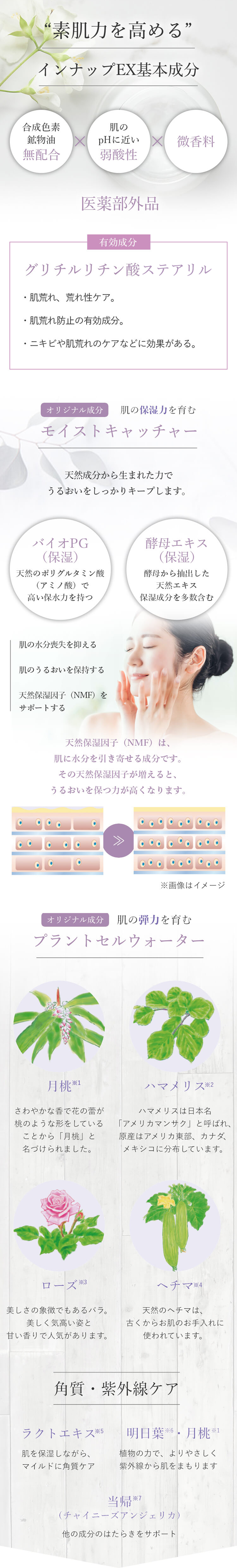 インナップEX モイスチャークリーム モア MD｜スキンケア・メイク