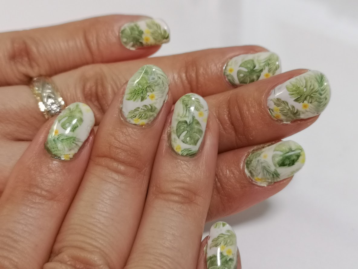 img_20190602_194319.jpg?w=1024