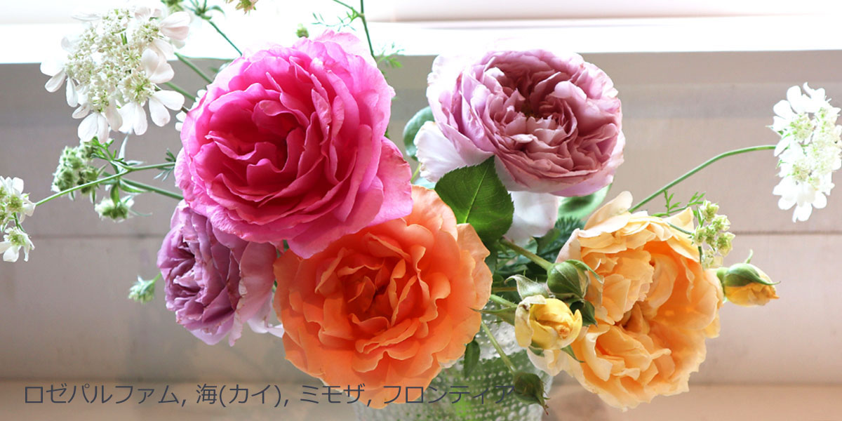 Rose for You | THE ROSE SHOP｜バラ専門店 ザローズショップ 本店