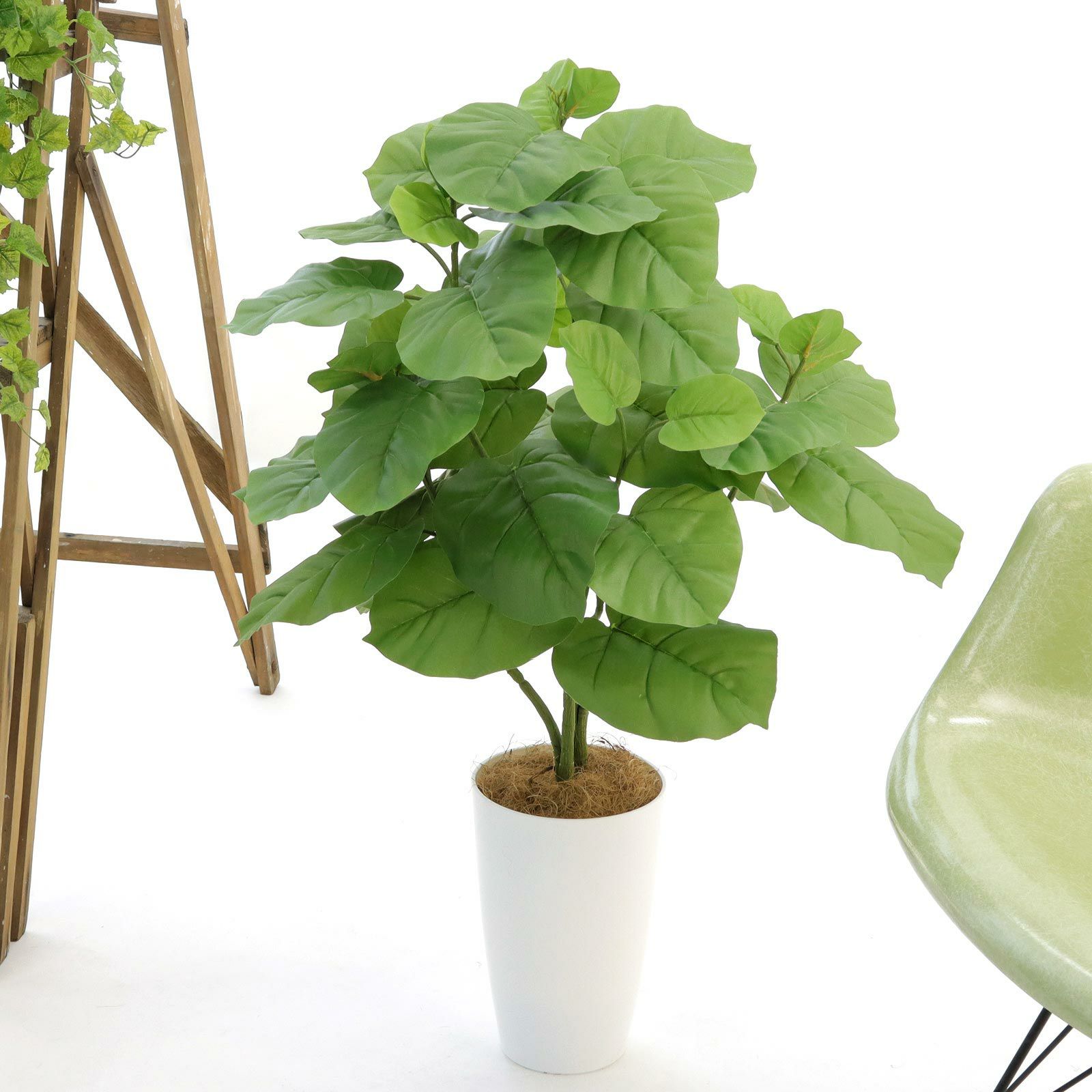 フィカス・ウンベラータ | プレミアム光触媒フェイクグリーン 造花