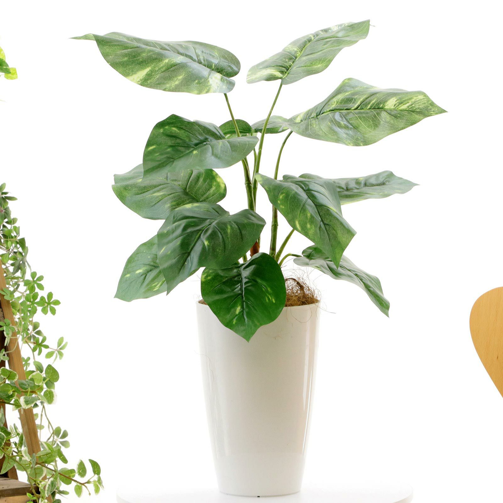 No93691 プレミアム光触媒フェイクグリーン 「つややかな葉 × 柔らかな