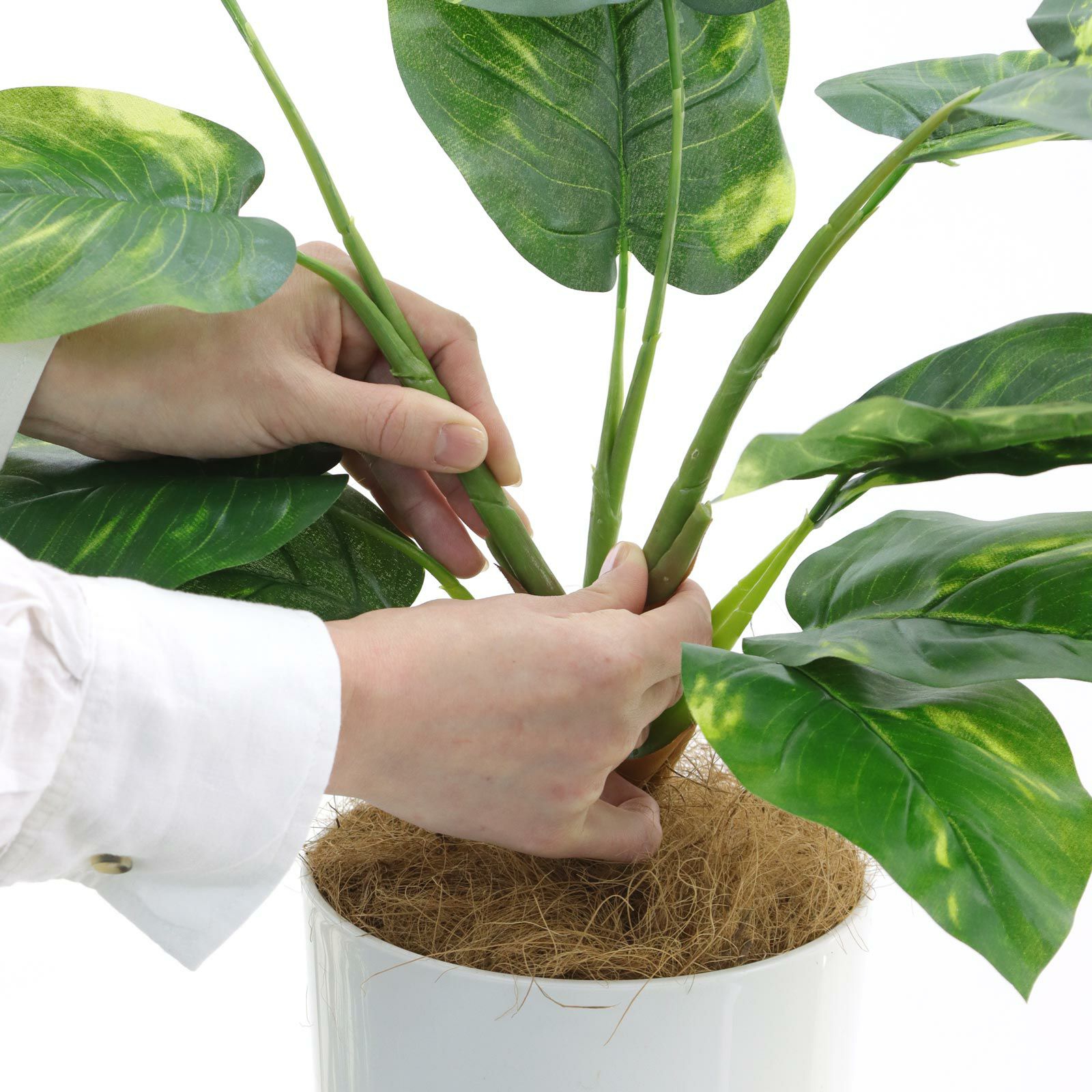 No93691 プレミアム光触媒フェイクグリーン 「つややかな葉 × 柔らかな