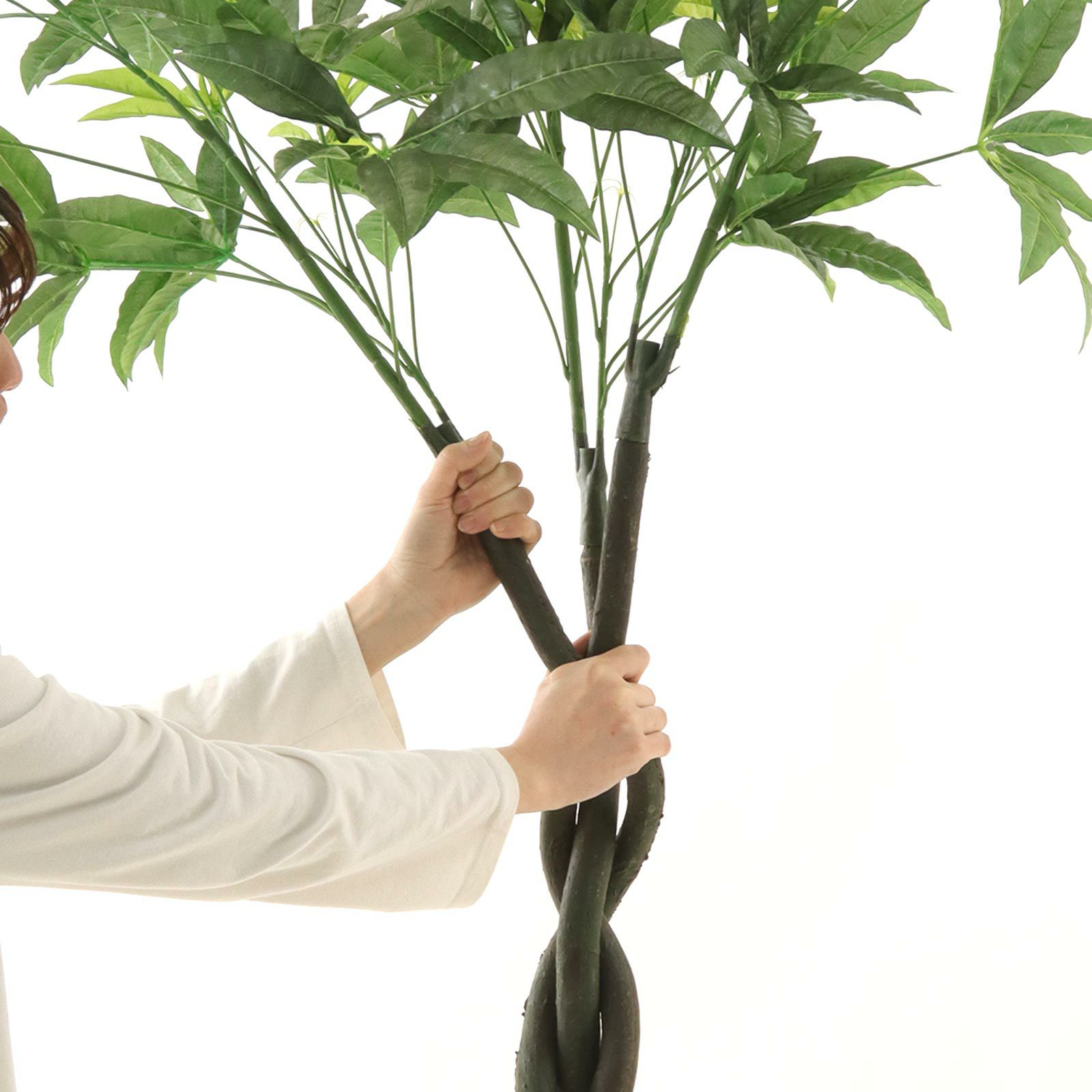 000000000028-15.jpg?t=