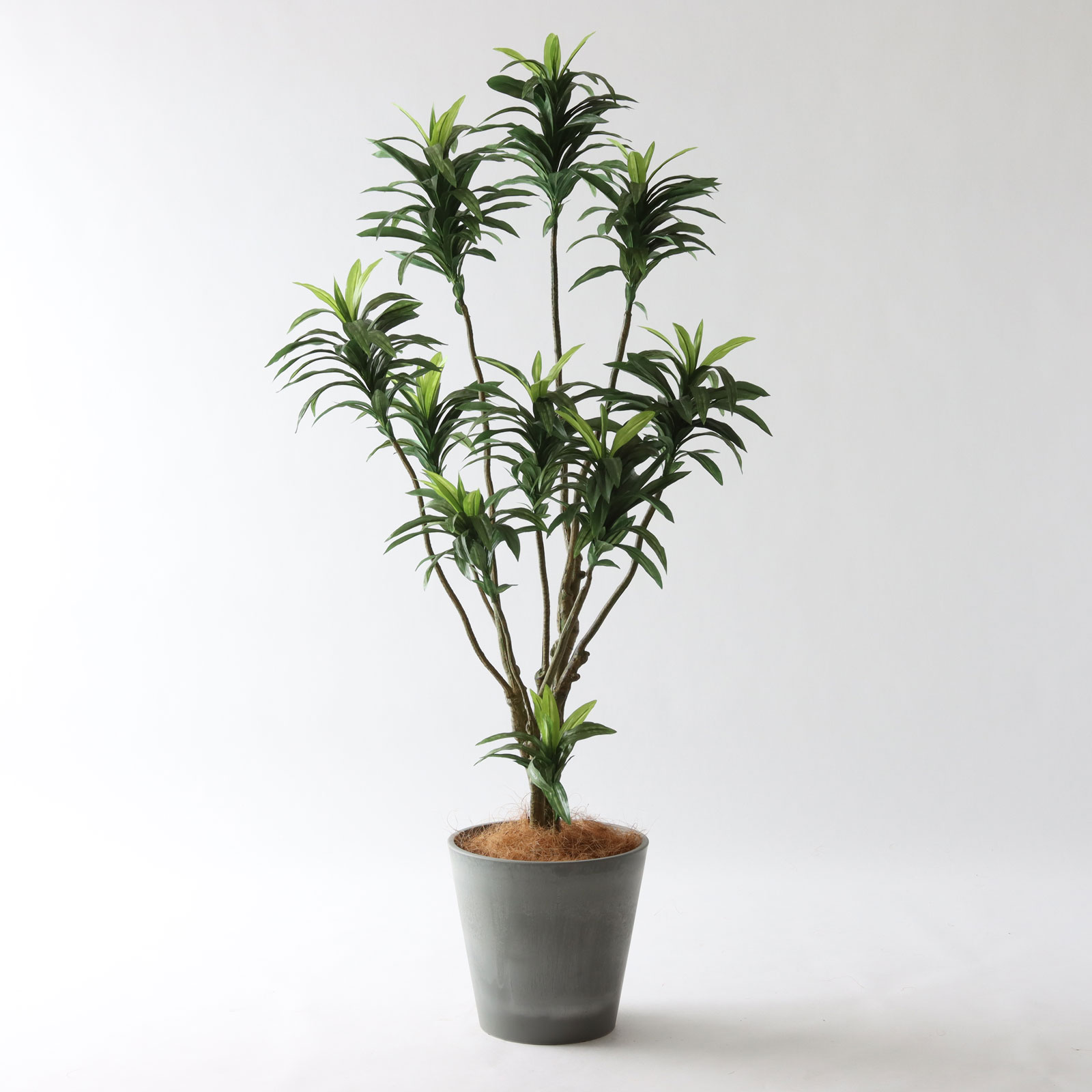 ドラセナ | プレミアム光触媒フェイクグリーン 造花ドットコム zouka.com