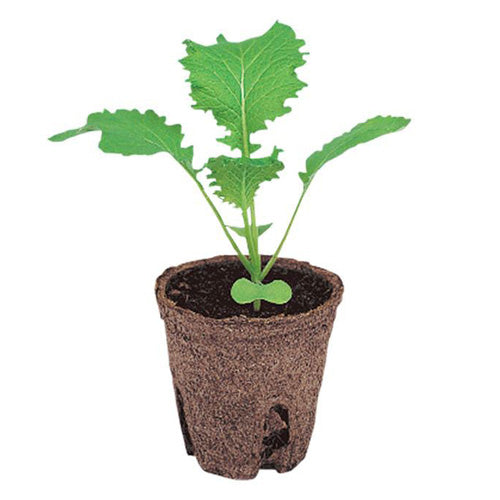 ジフィー エコポット・ジフィー ポット【丸型】 ｜農業メッシュネット