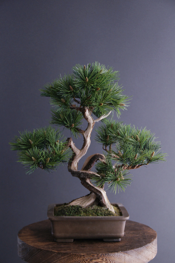 商品詳細 アートフラワー専門店 Akanbi（あーかんび）