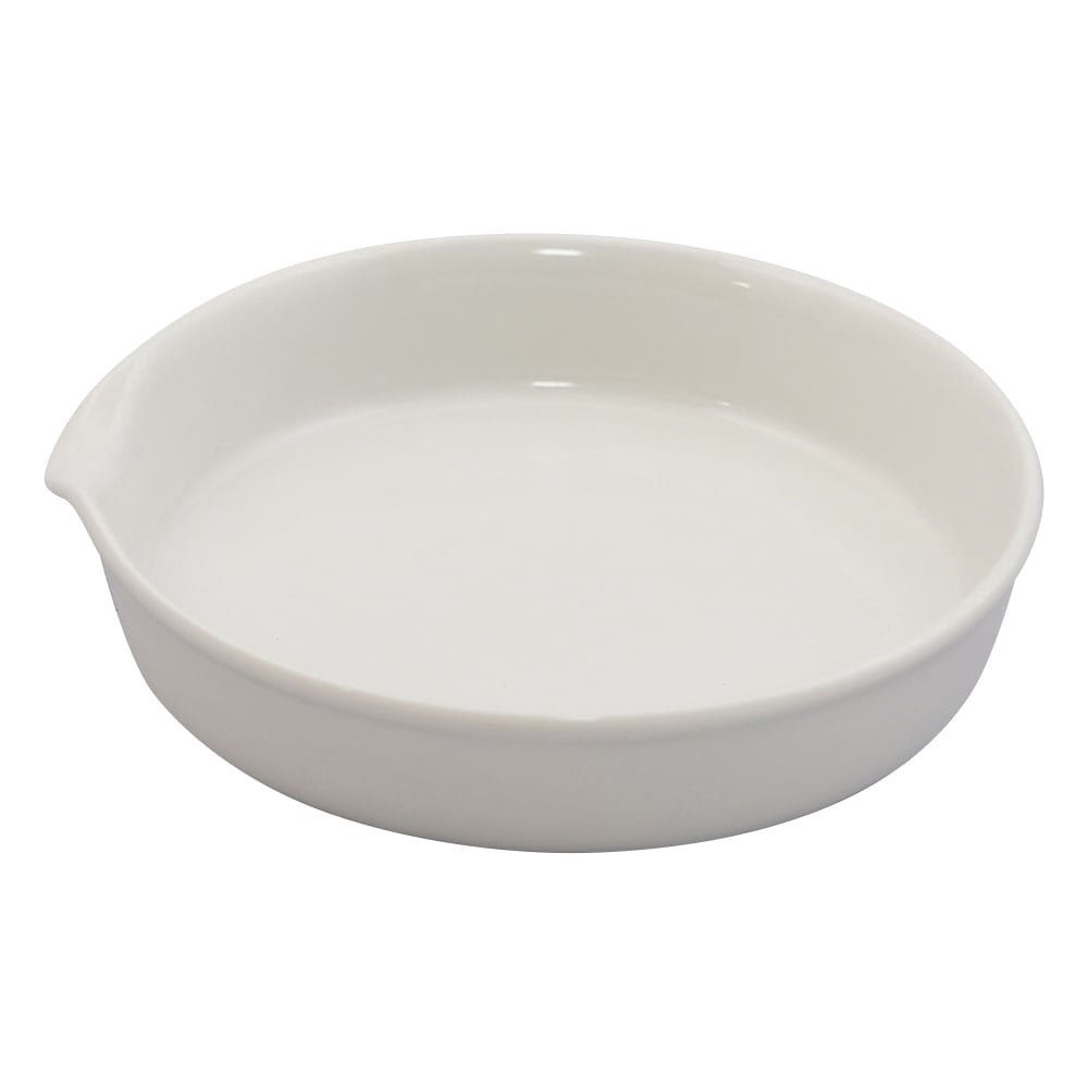 6-563-01 磁製平皿 φ60mm 25mL 【AXEL】 アズワン