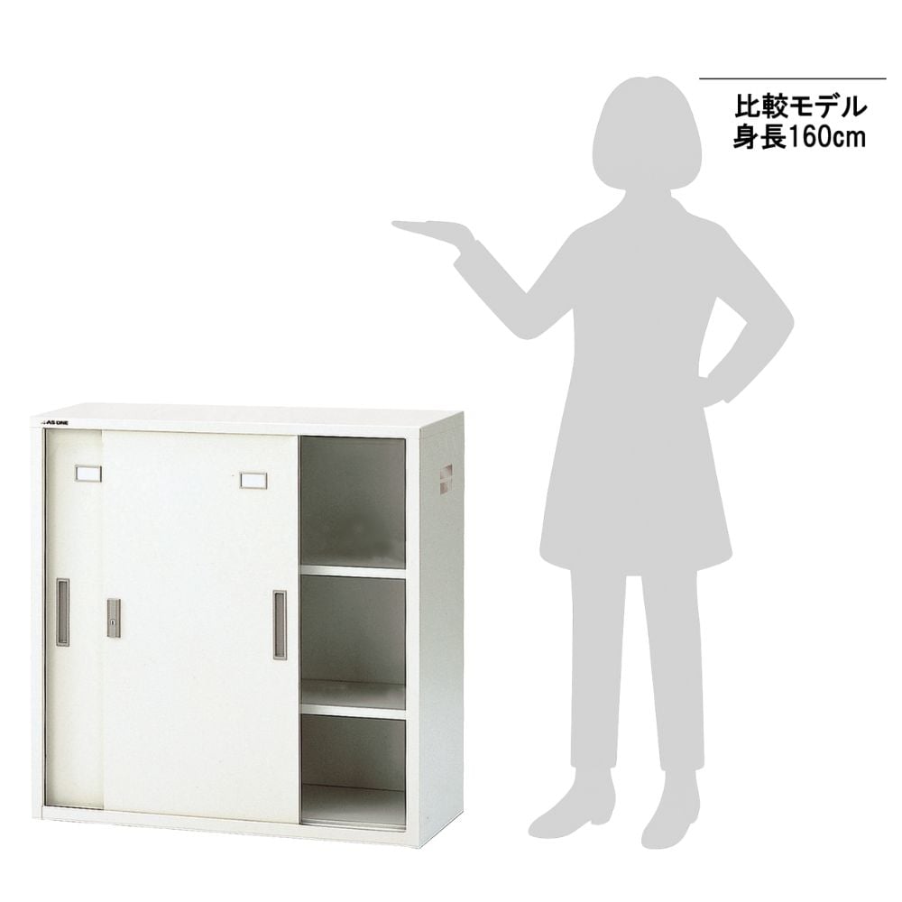 3-035-18 耐薬引違保管庫 スチール戸 880×400×880mm N-90D・OW 【AXEL