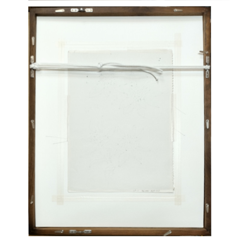 北海道札幌 絵画 販売 蒼い画廊(あおいがろう） 作品紹介 水彩画 坂本直行