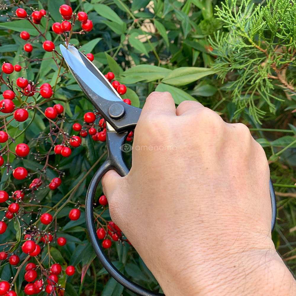 植木鋏 青紙 ネジ 90mm – amenomaオンラインショップ