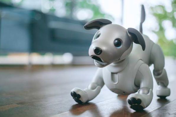 ASCII.jp：ソニー犬型ロボット「aibo」発表