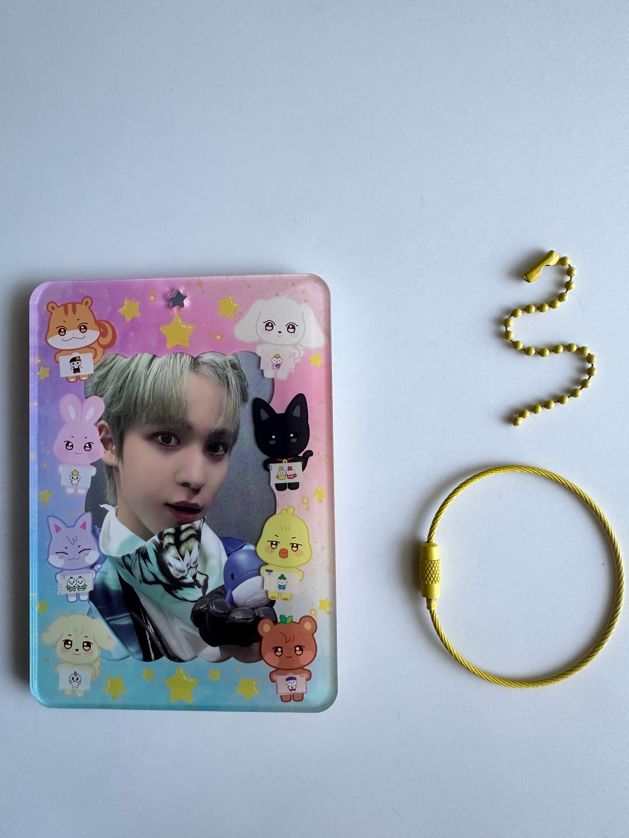 ATEEZ ANITEEZ X TEEZMON Acrylic Photocard Holder | Ham and Heoney