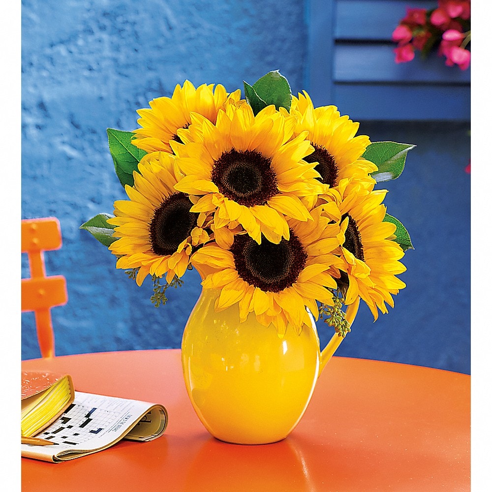 Sunny Day Pitcher of Sunflowers (T153-1A) in Chicago IL - Soukal
