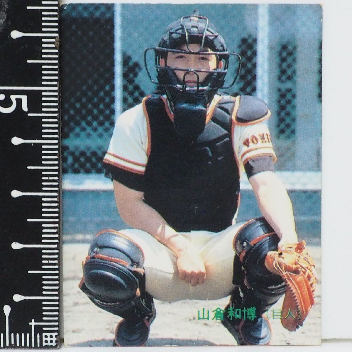 84年 カルビー プロ野球カード No.7【輝くスタープレーヤー 山倉 和博