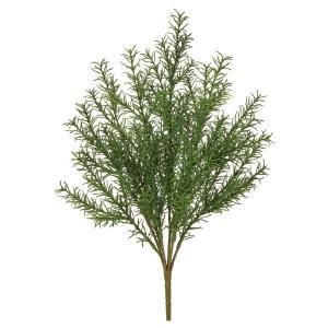 富貴蘭 天恵覆輪の群生 30弱あります その他観葉植物 観葉植物