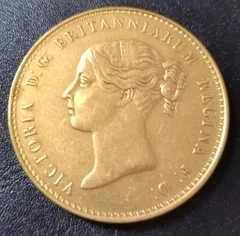 2026年最新】ウナ ライオン 金貨の人気アイテム - メルカリ