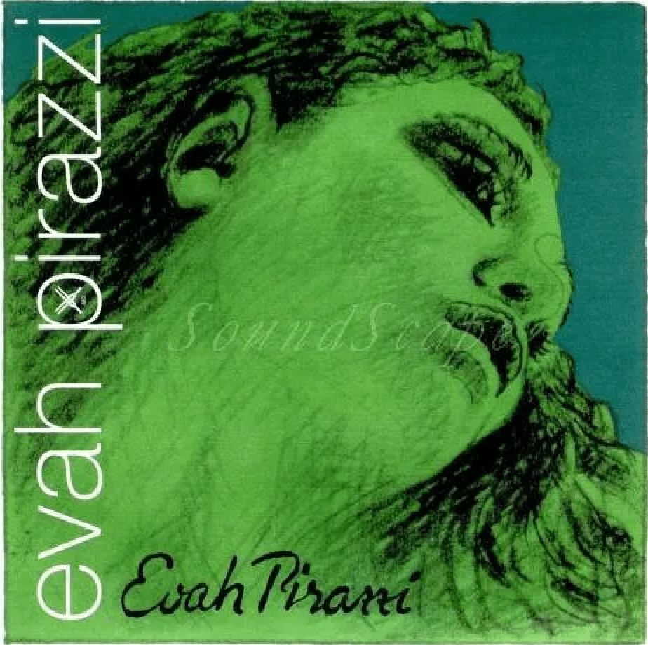 バイオリン弦】エヴァピラッツィ ネオが最高✨すぎる‼️｜のんびり☆