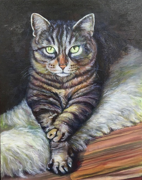油絵『猫』 - 絵画教室 アートスクール セント・ギャラリー