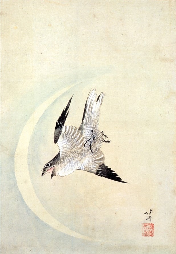 レビュー】緻密でリアル、時々デザイン的……北斎が描く「鳥」の姿