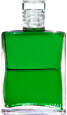 あなたの今日のオーラソーマタロット