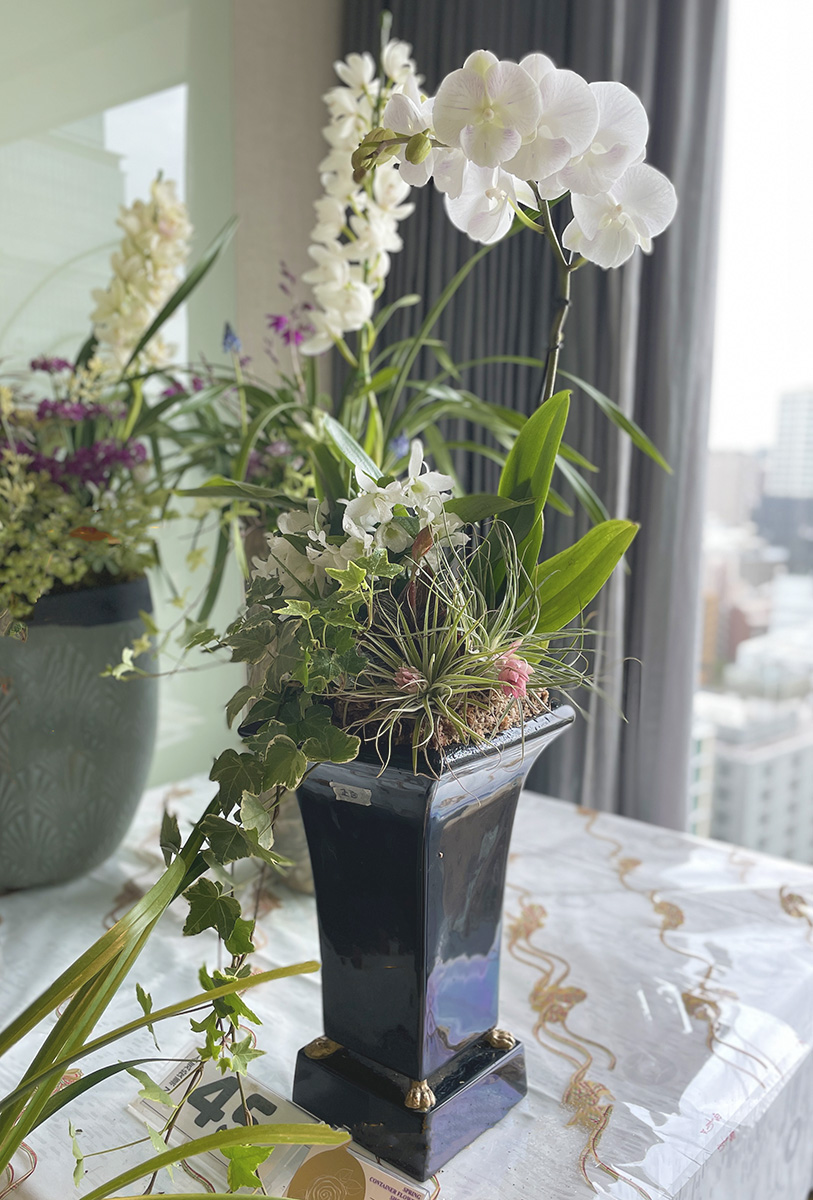 SPRING CONTAINER FLOWER SHOW2026 寄植えの芸術展 審査結果発表 | 蓼