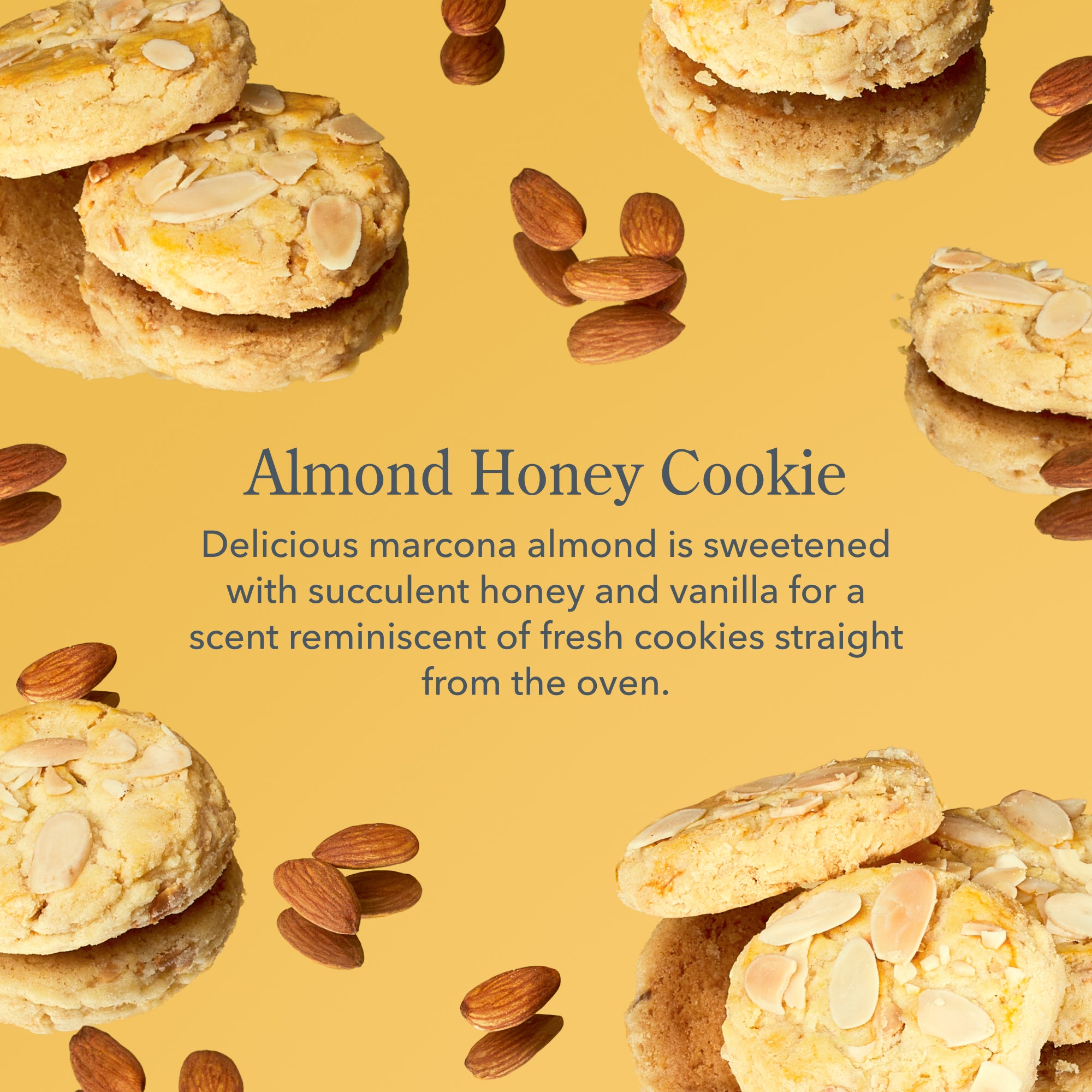Almond Honey Cookie Hand Cream