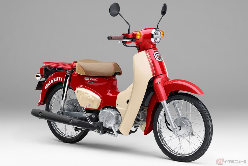 20241101_cub_kitty_01-1000x667