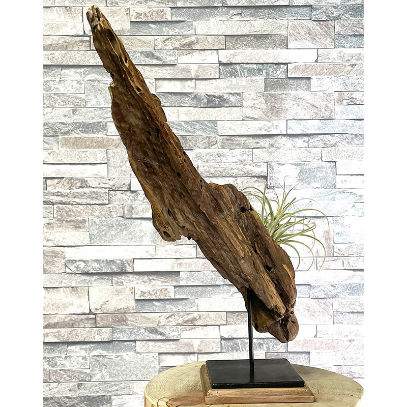 Drift wood plants base001（流木プランツベース） – Bonmel(ボンメル)