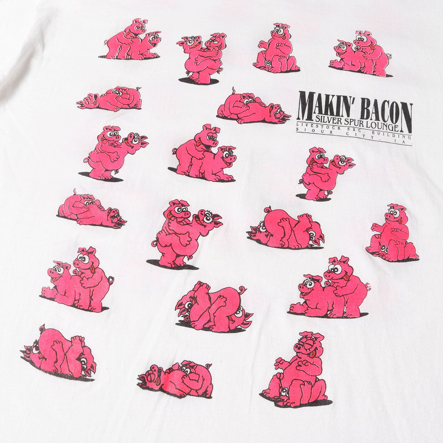 90s ブタ 四十八手 両面プリント エロ Tシャツ / USA製 FRUIT OF THE