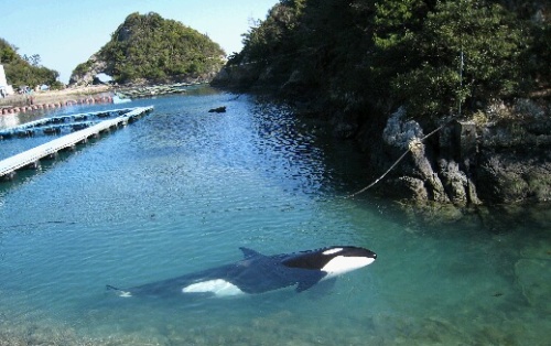 ごめんねナミちゃん | 杏日記
