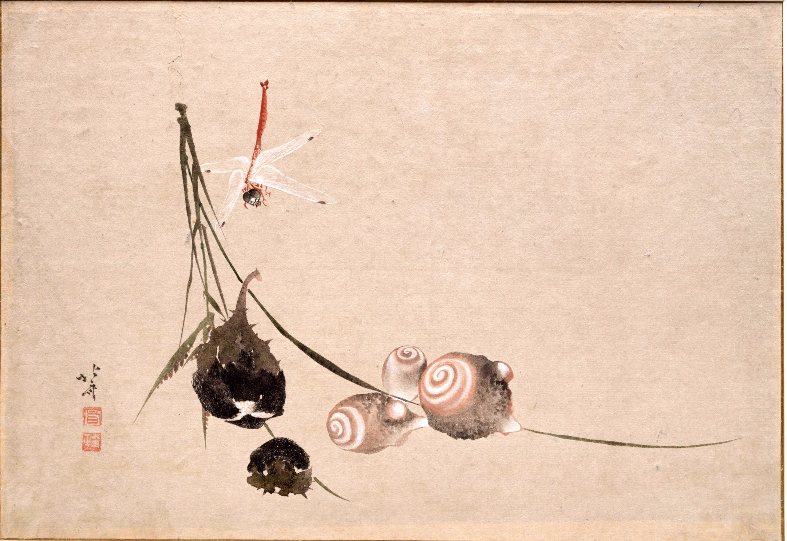 芋・茄子に赤蜻蛉図 | 所蔵作品 | 千葉市美術館