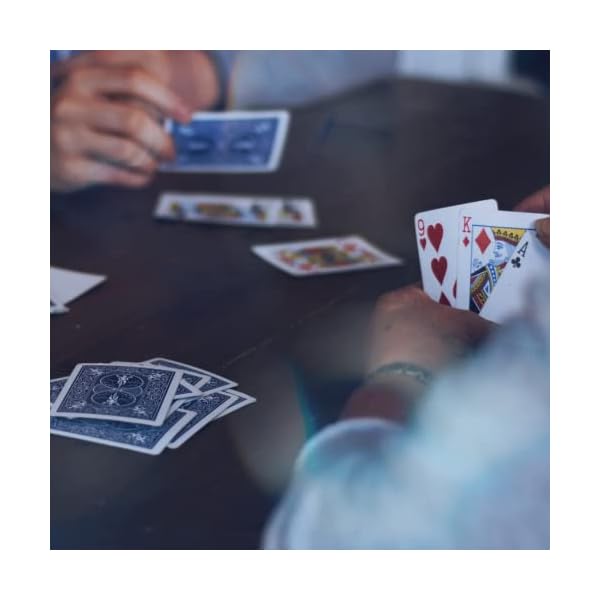 ヤマダモール | BICYCLE(バイスクル) ライダーバック STANDARD