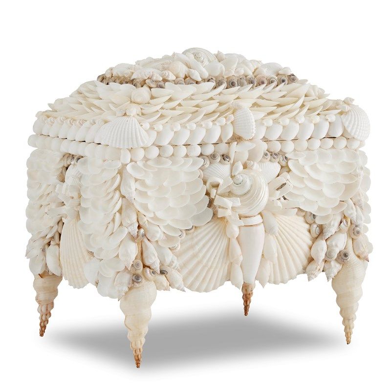 White Shell Jewel Box - Seashell Box – Cailini Coastal