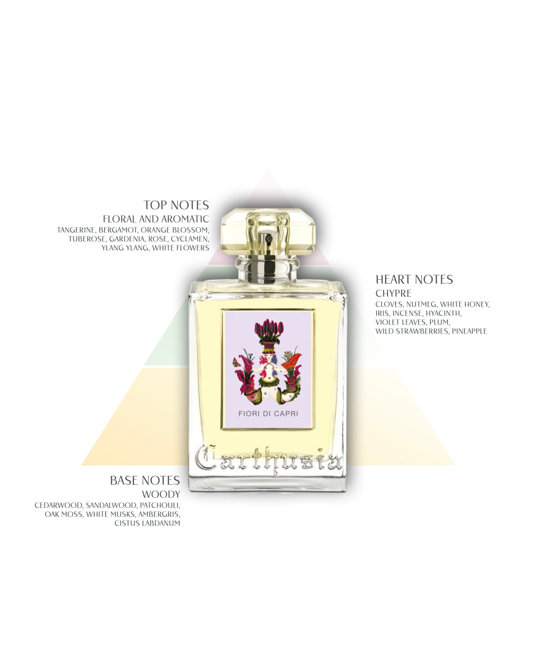 CARTHUSIA〈カルトゥージア〉 フィオーリ ディ カプリ ソリッド