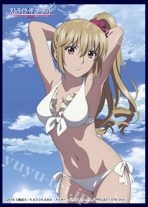 クロックワークス スリーブコレクション vol.15 ストライク・ザ